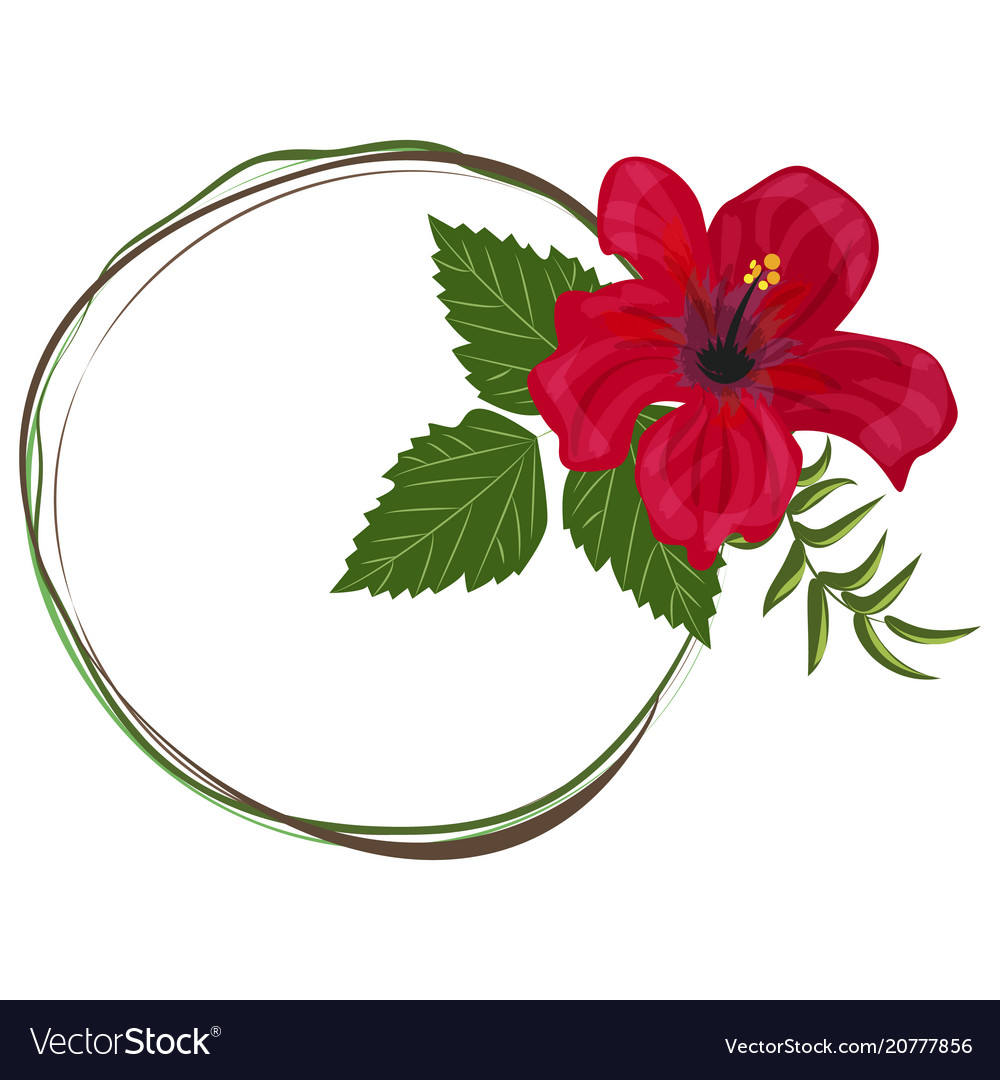 Tropical Frame Fl Summer Leaf Aloha Design Vector Image On Vectorstock