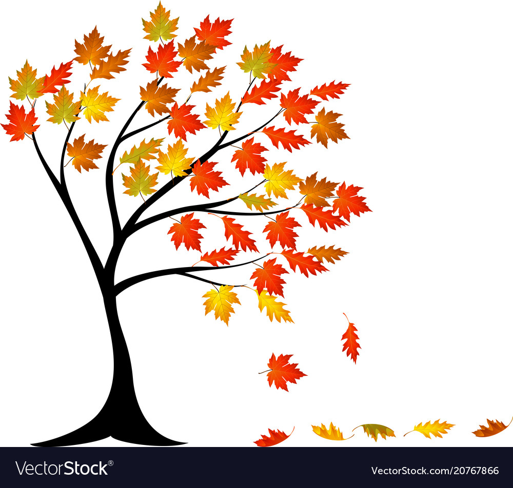 Autumn Images Cartoon ~ Free Fall Tree Clipart Pictures Bodaswasuas