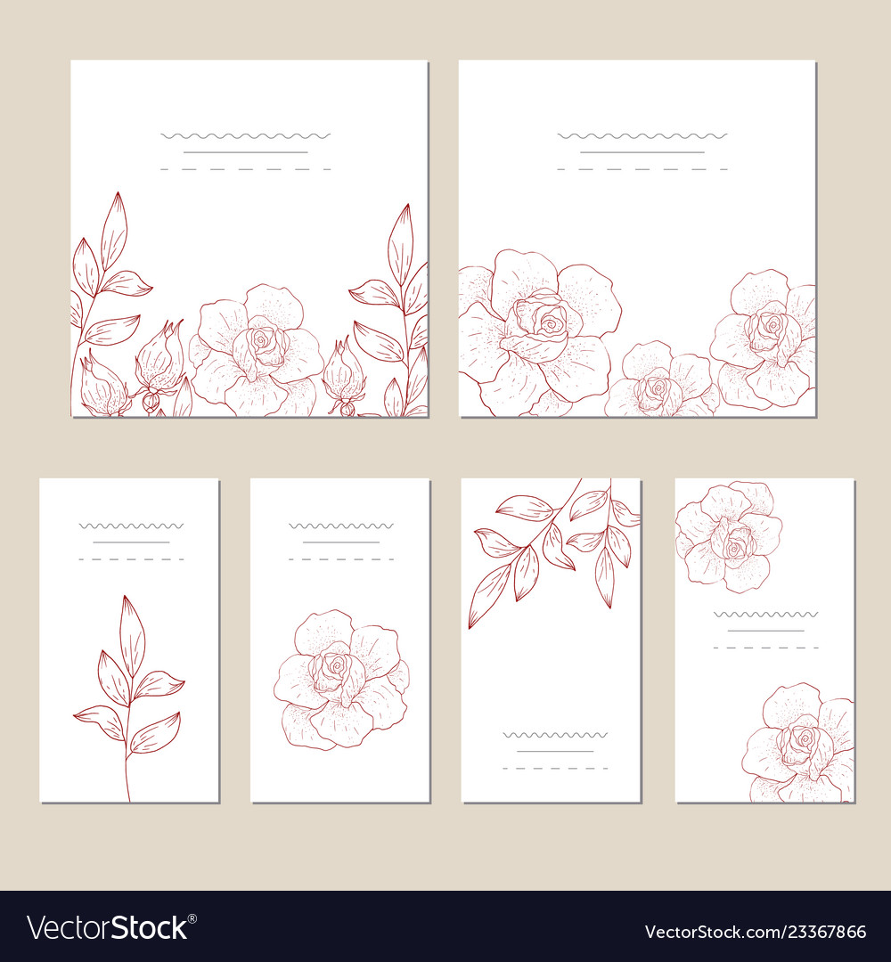 Set card with flower rose and leaves wedding vector image Set card with flower rose and leaves wedding