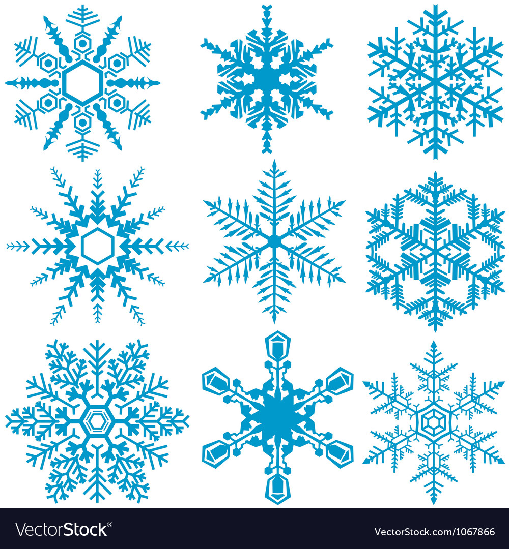 Winter Snowflake Collection