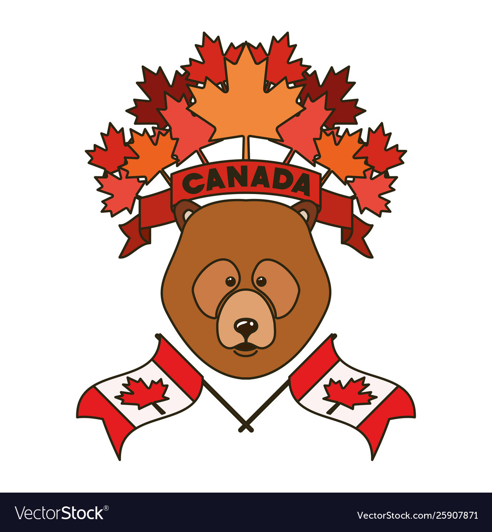 Bear forest animal canada design Royalty Free Vector Image