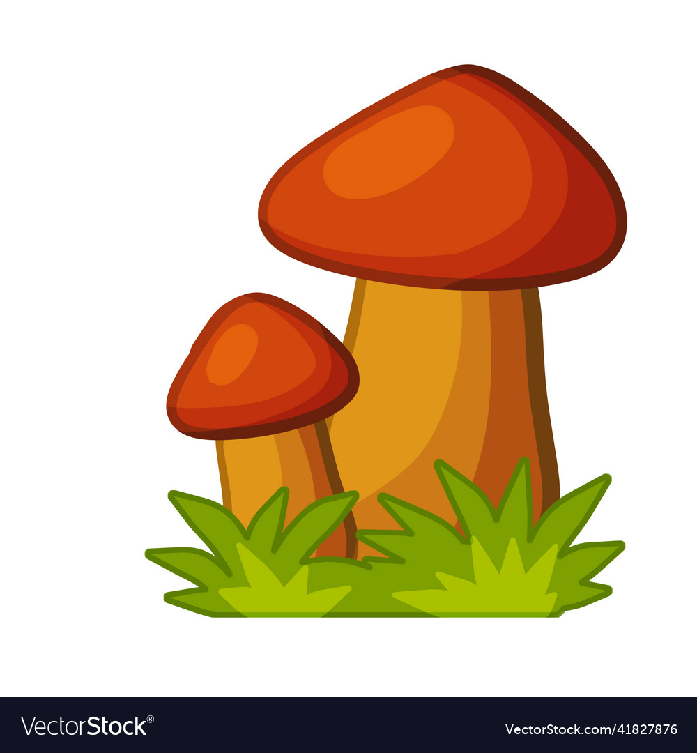 Mushrooms Autumn Element Of Forest Royalty Free Vector Image