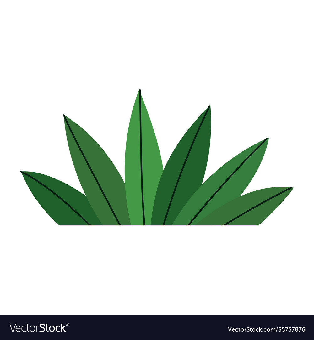 Plant leaves foliage cartoon icon in isolated