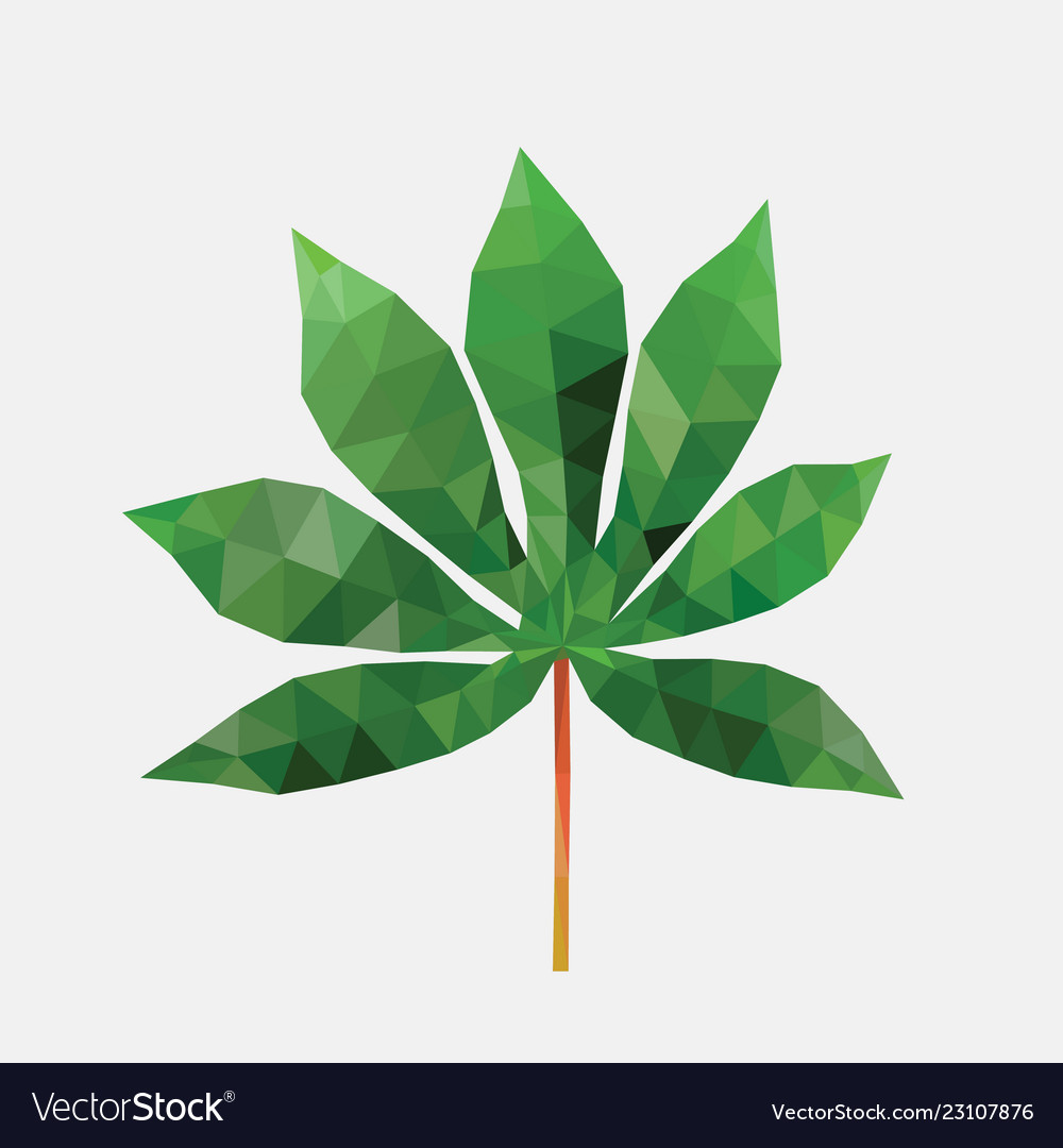 Polygonal Cassava Leaf Royalty Free Vector Image