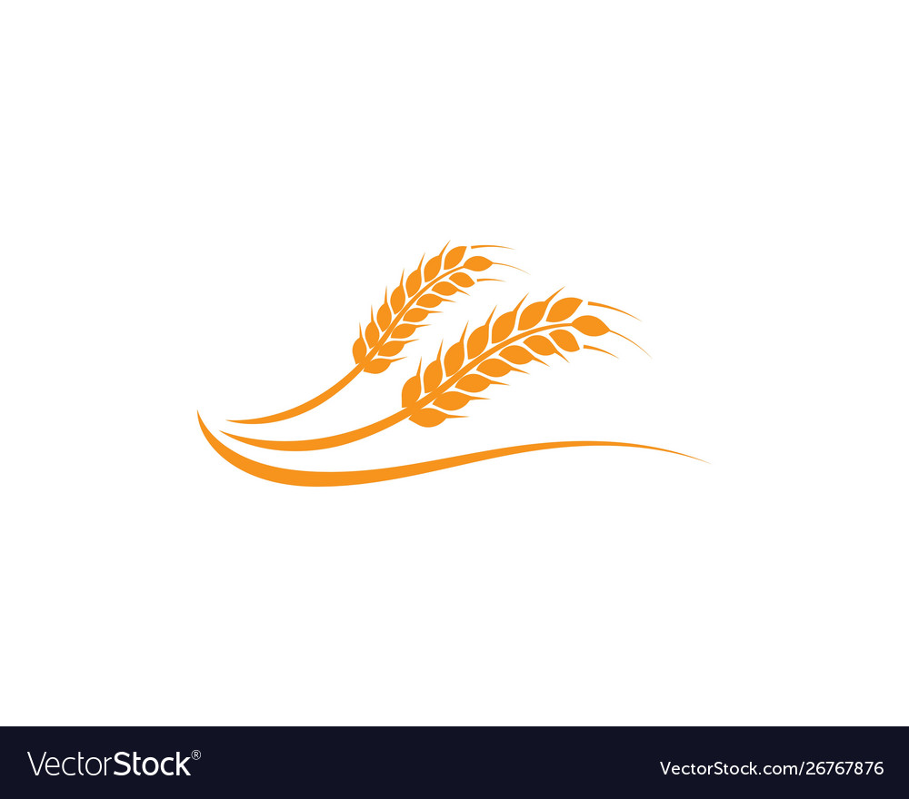 Wheat logo template