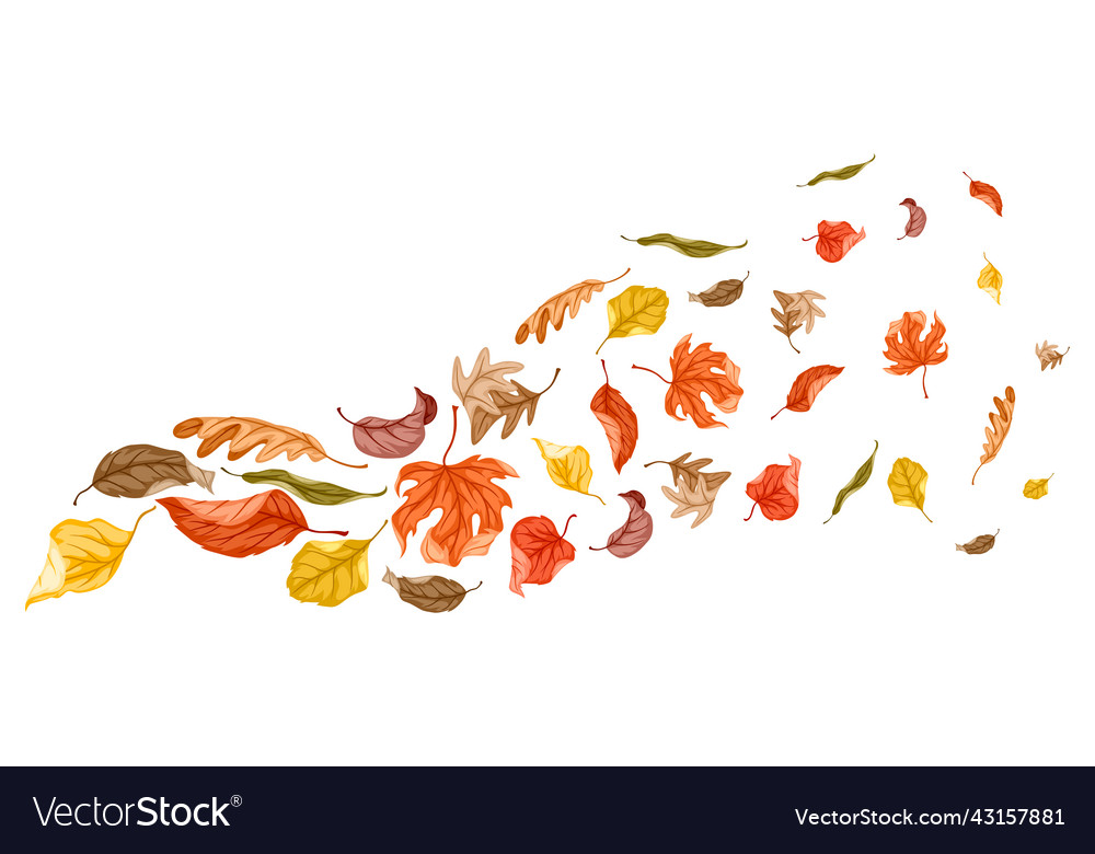 Background with autumn foliage