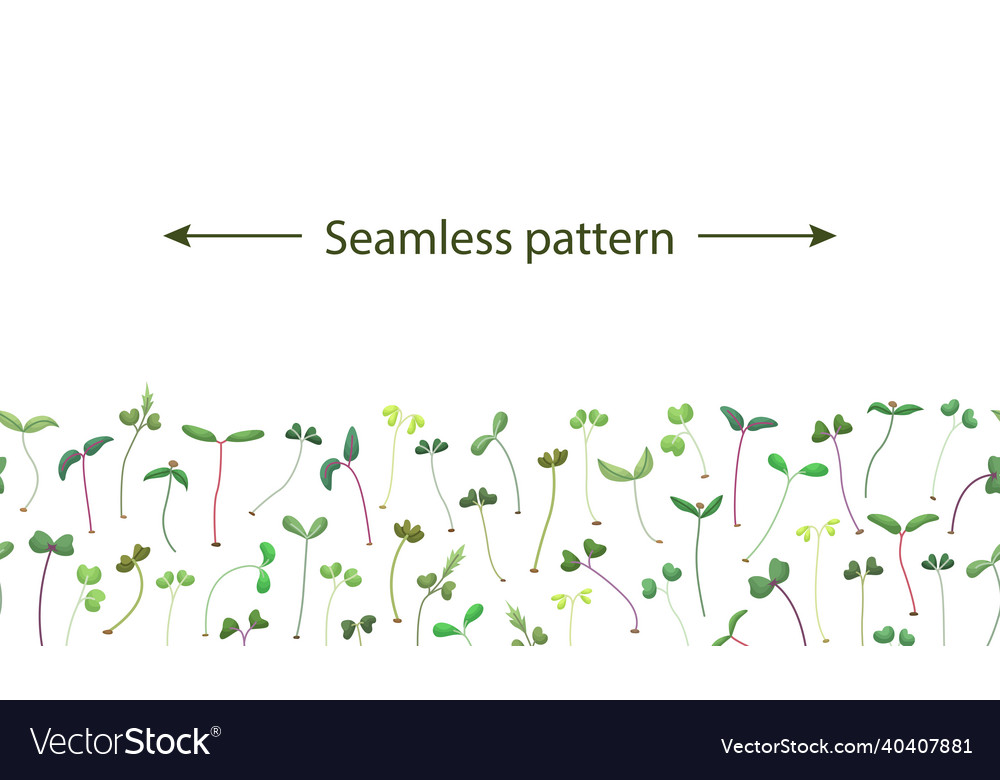 Horizontal seamless pattern with microgreens vector image Horizontal seamless pattern with microgreens