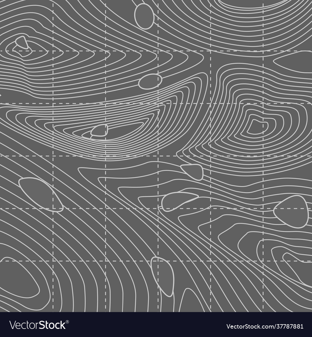 White and gray abstract contour line map