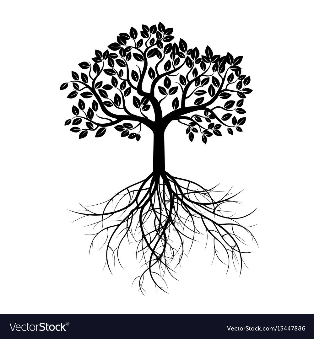 Black tree and leafs Royalty Free Vector Image