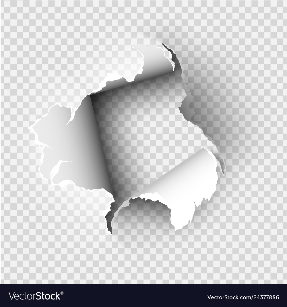 Hole torn in ripped paper on transparent Vector Image