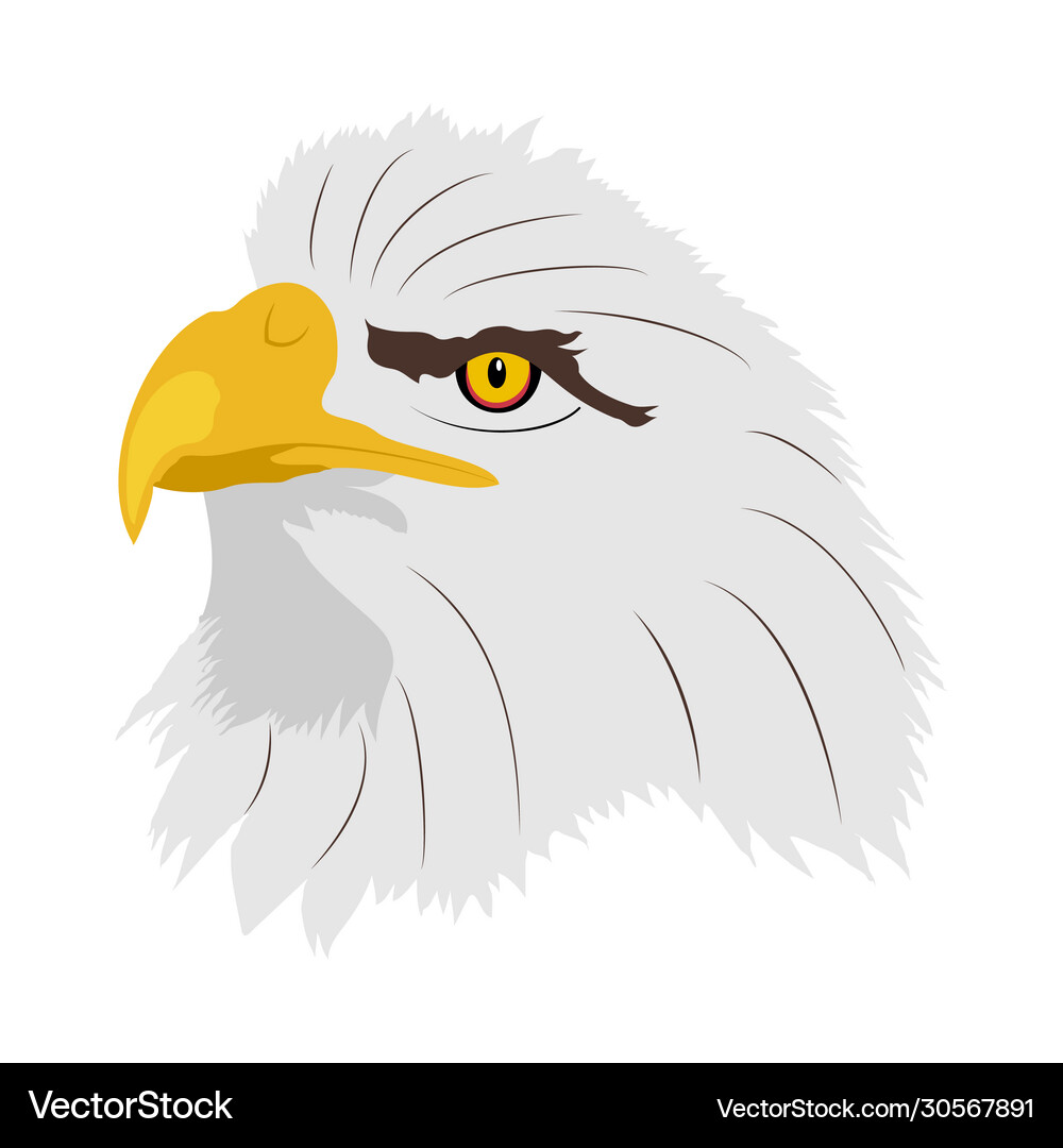 A eagles head in profile Royalty Free Vector Image