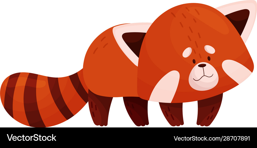 Cartoon Red Panda Character Standing On Paws Vector Image