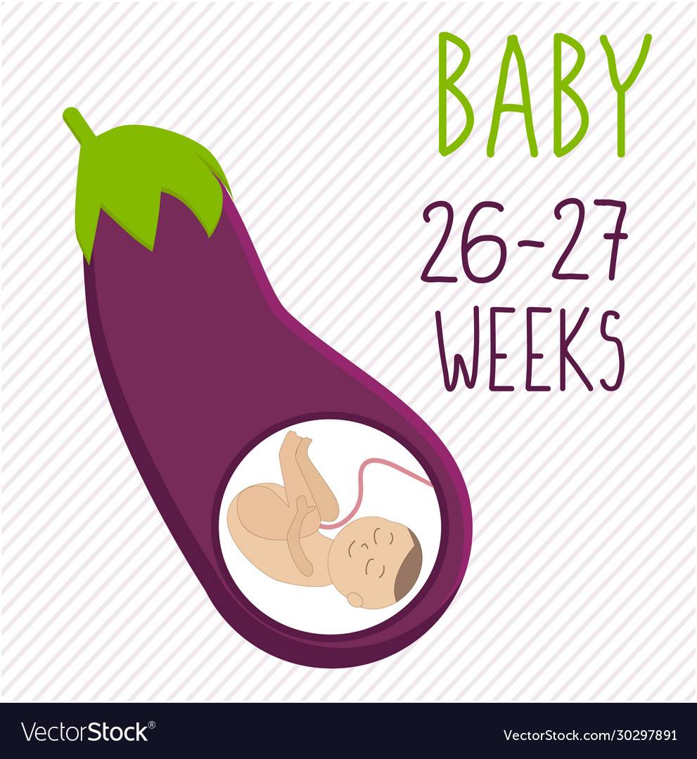 Eggplant Pregnancy: 26-27 Weeks Development