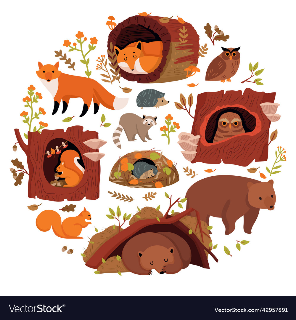 Forest animals round composition Royalty Free Vector Image