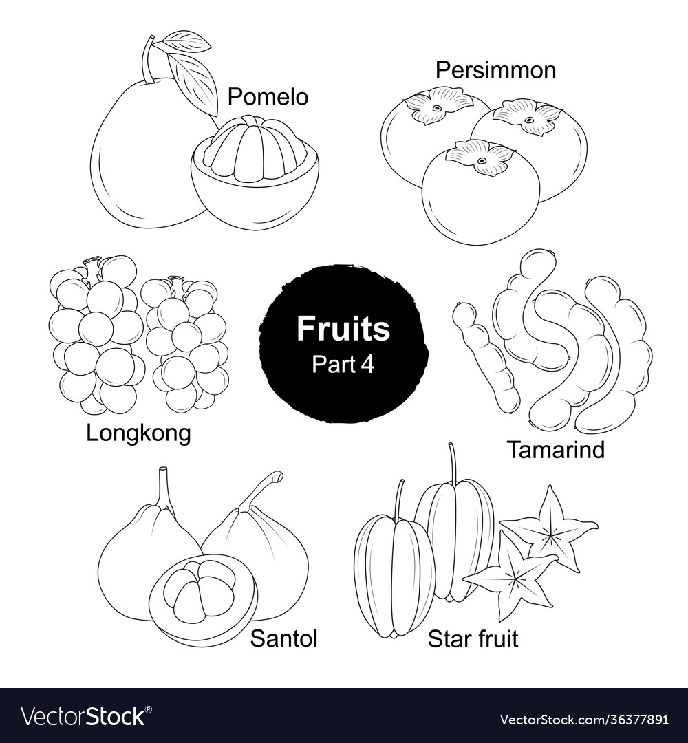 Fruits line collection part 4 Royalty Free Vector Image