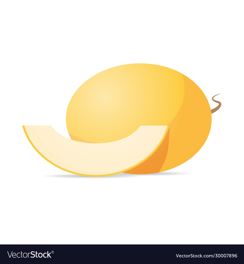 Fresh juicy melon icon tasty ripe fruit isolated