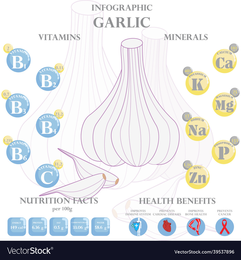 Garlic nutrition facts and health benefits