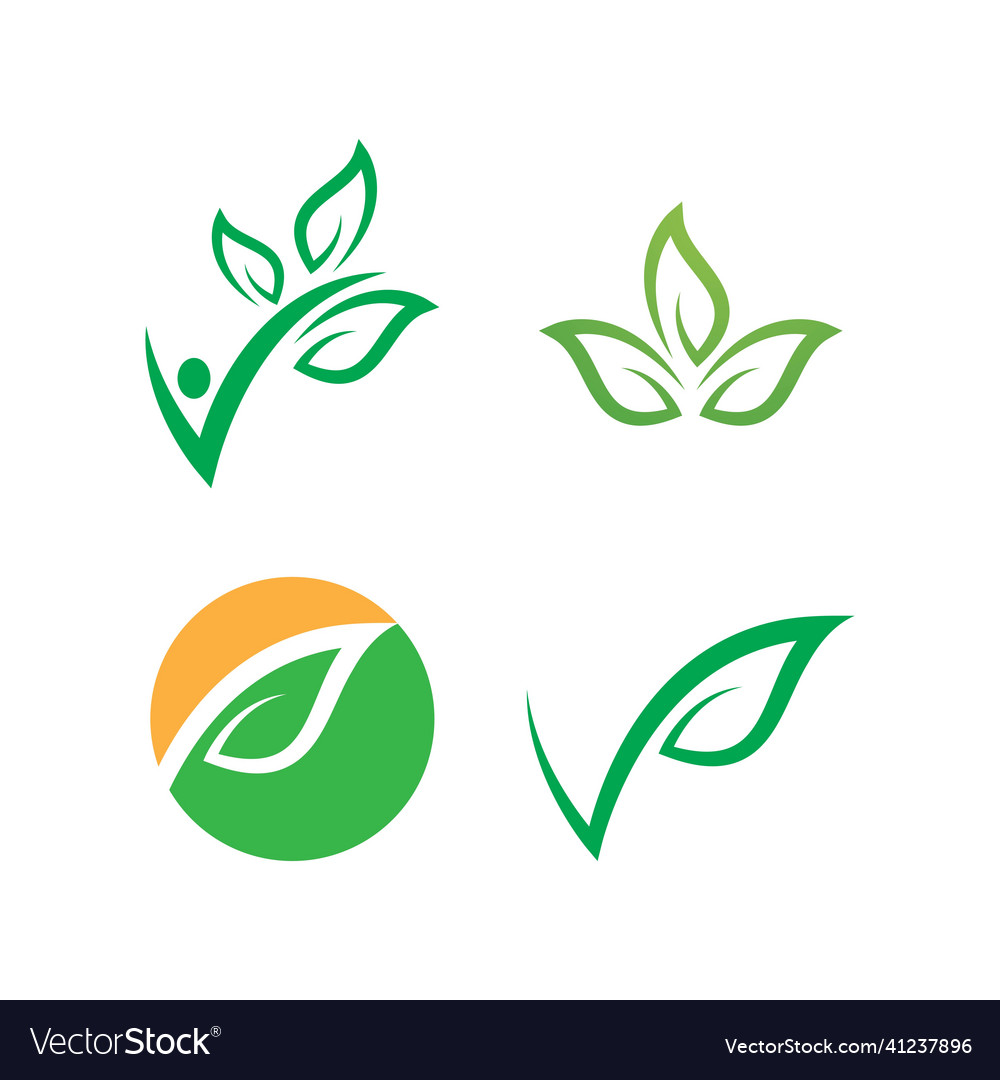Green leaf Royalty Free Vector Image - VectorStock