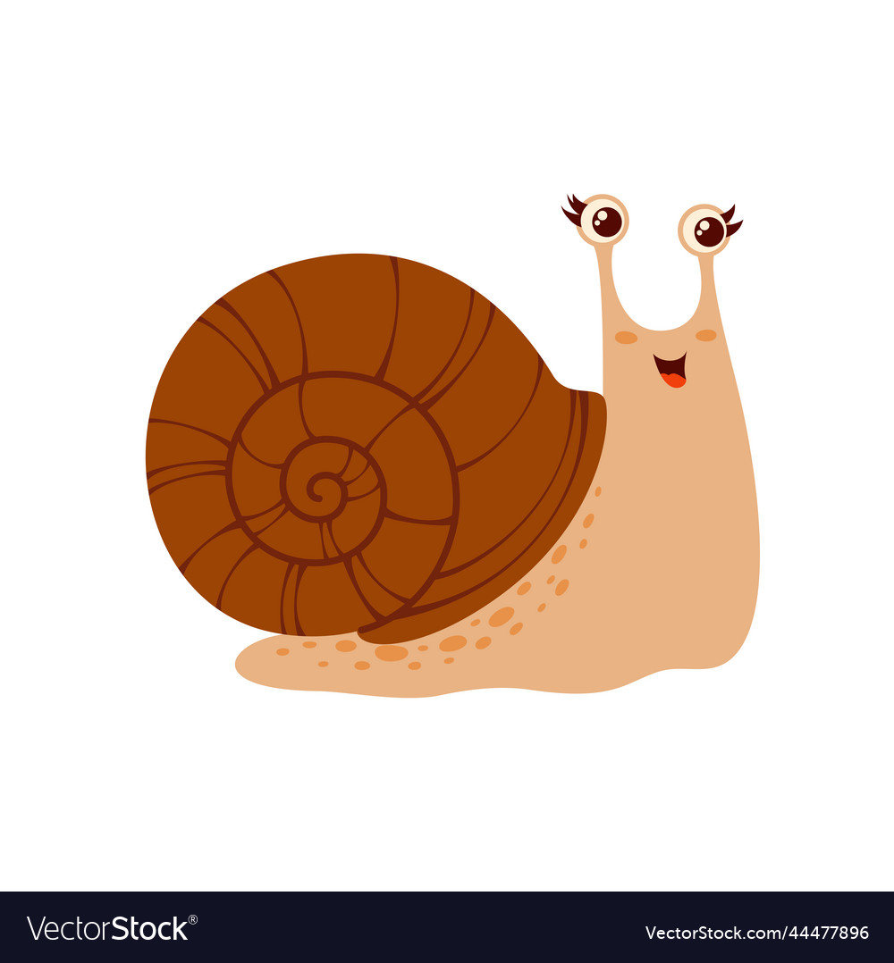 Snail cartoon insect funny kids character Vector Image