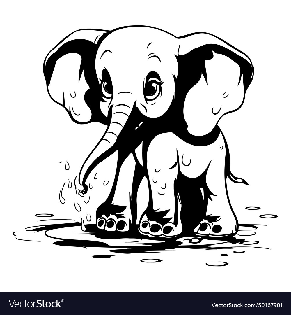 Elephant - black and white for coloring book