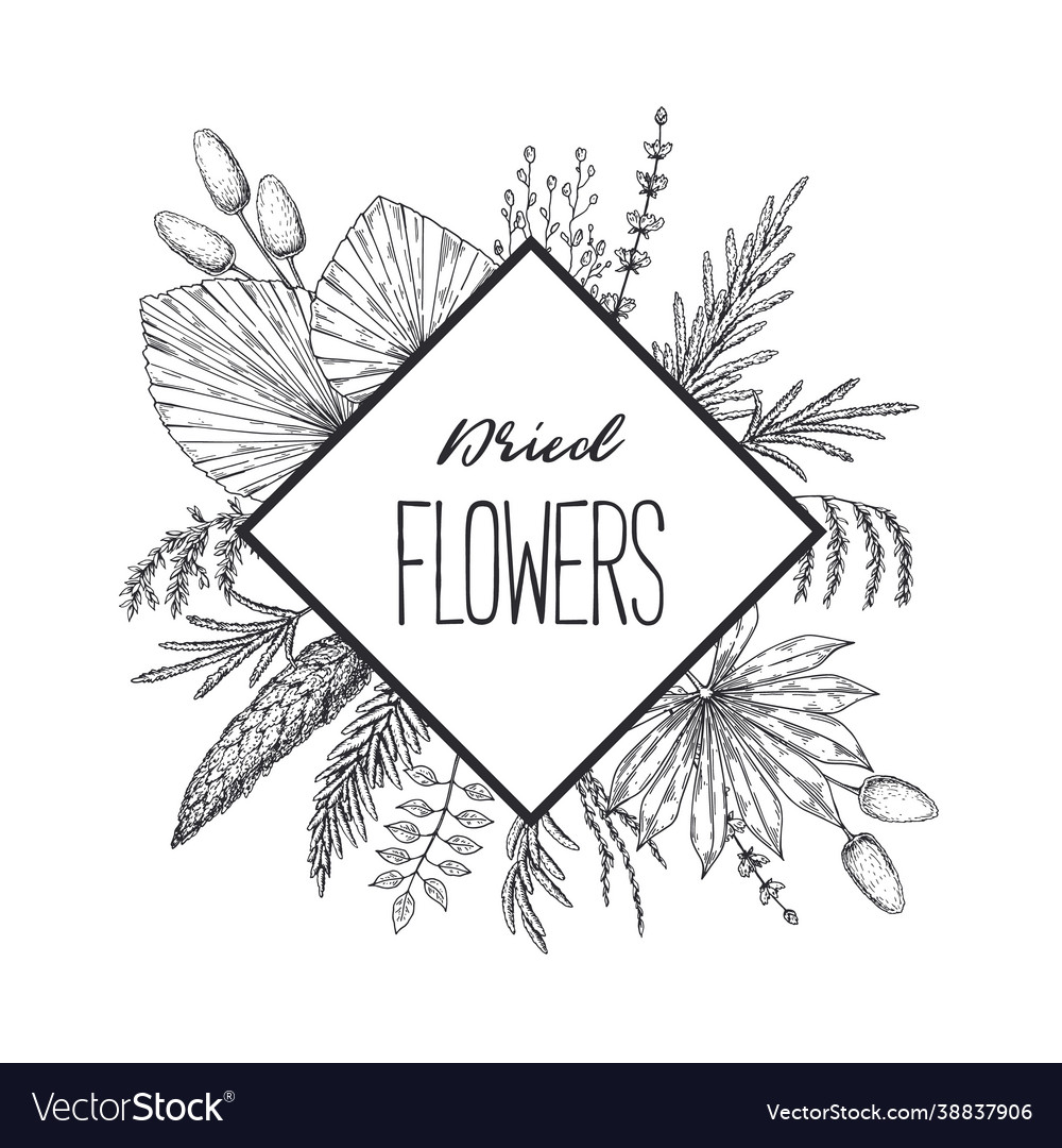 Hand drawn botany frame with elements vector image Hand drawn botany frame with elements