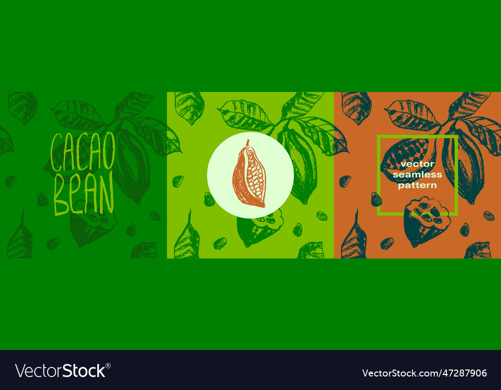 Organic seamless pattern with cocoa beans vector image Organic seamless pattern with cocoa beans