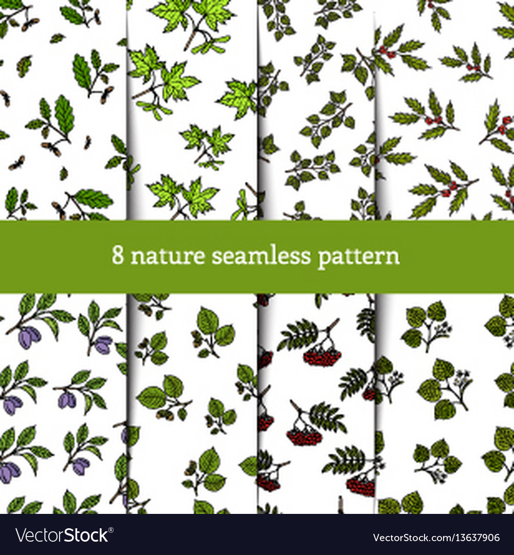 Set of seamless pattern with tree branches vector image Set of seamless pattern with tree branches