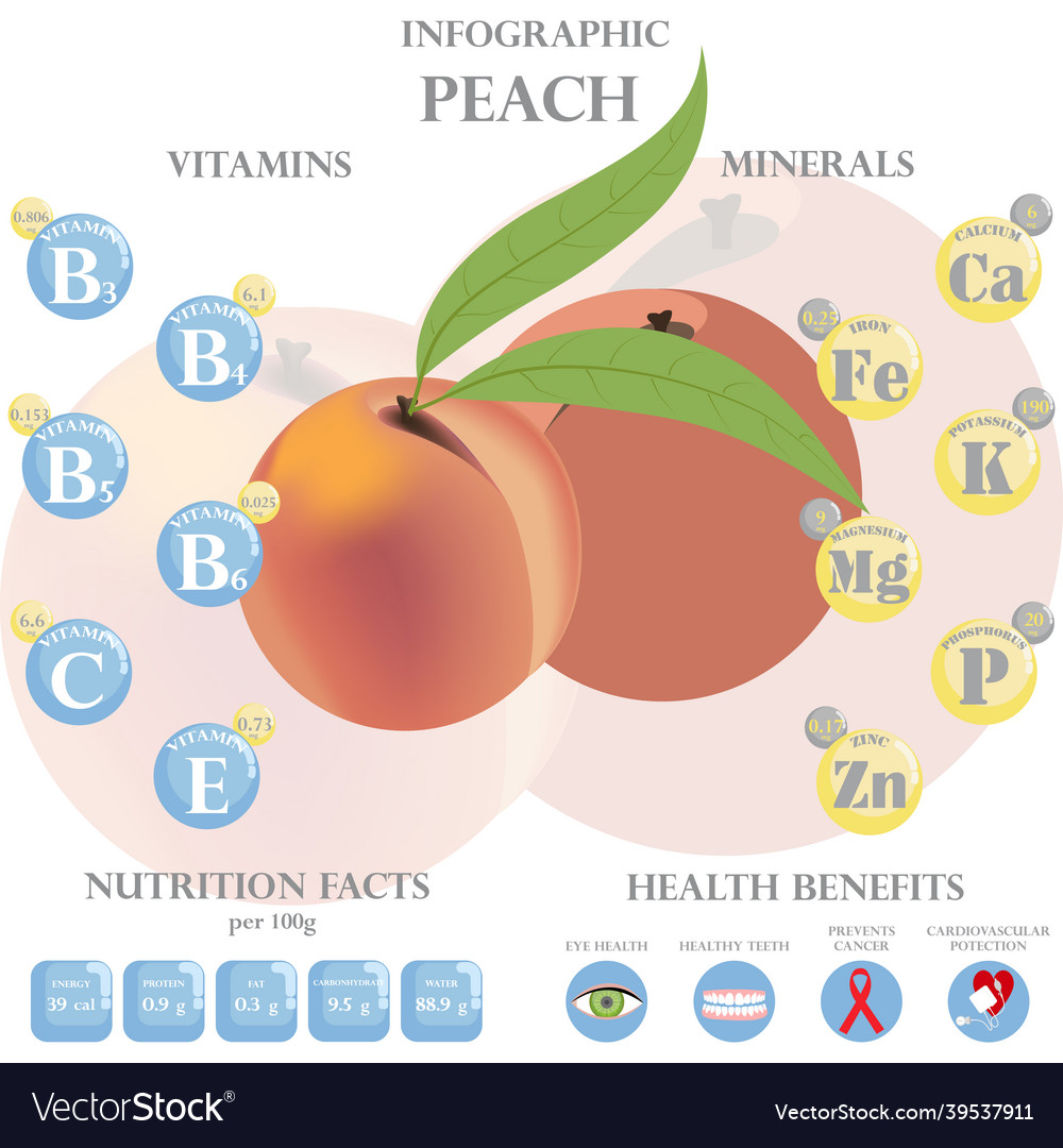 Peach nutrition facts and health benefits Vector Image