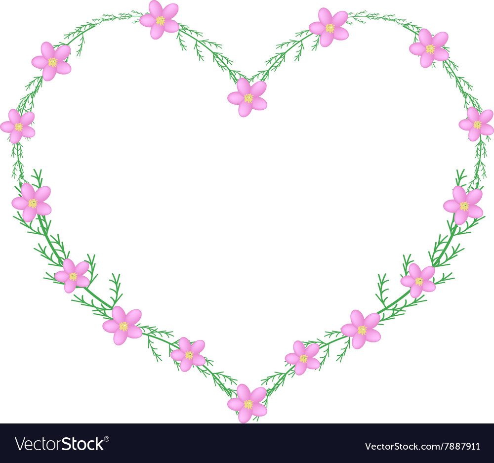 Pink yarrow flowers in a heart shape frame Vector Image