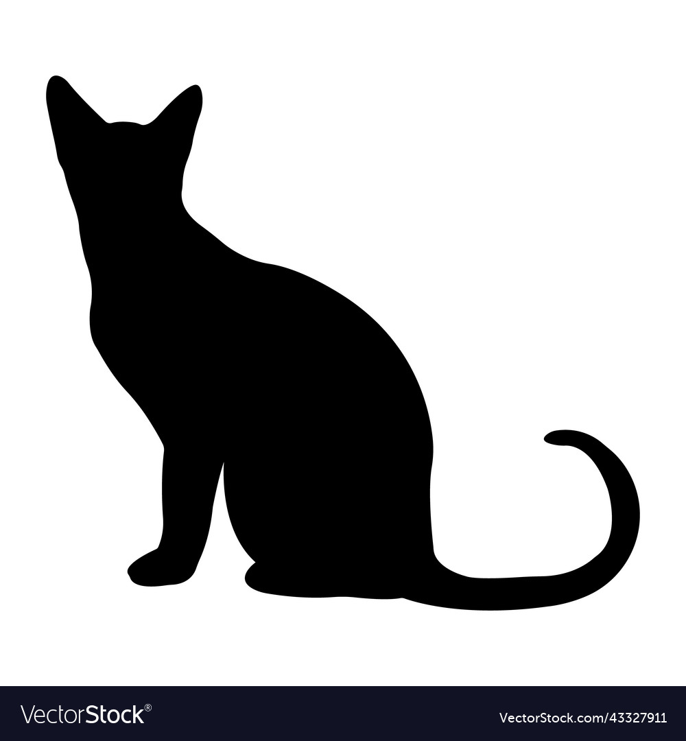 Vector icon black cat sitting. Silhouette of a cat isolated on a