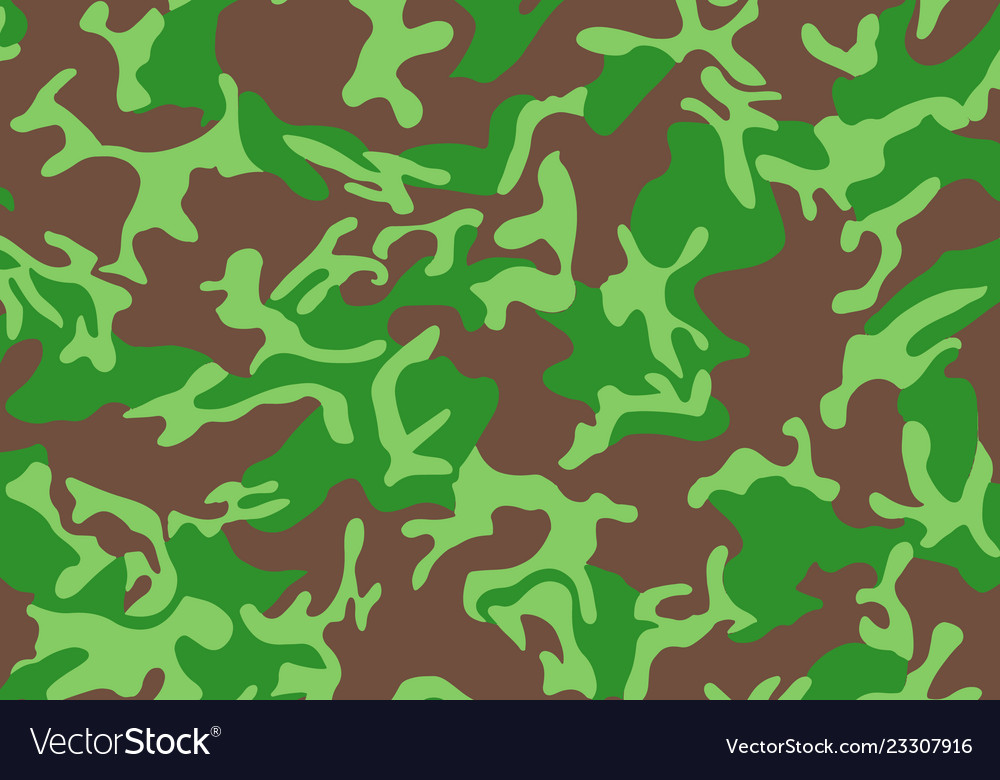 Background pattern of summer army camouflage vector image Background pattern of summer army camouflage