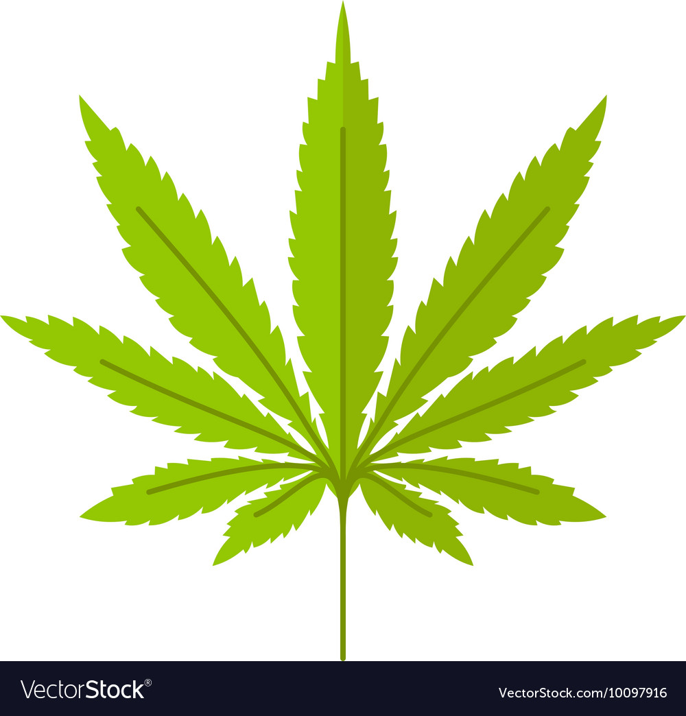 Marijuana leaf icon Royalty Free Vector Image - VectorStock