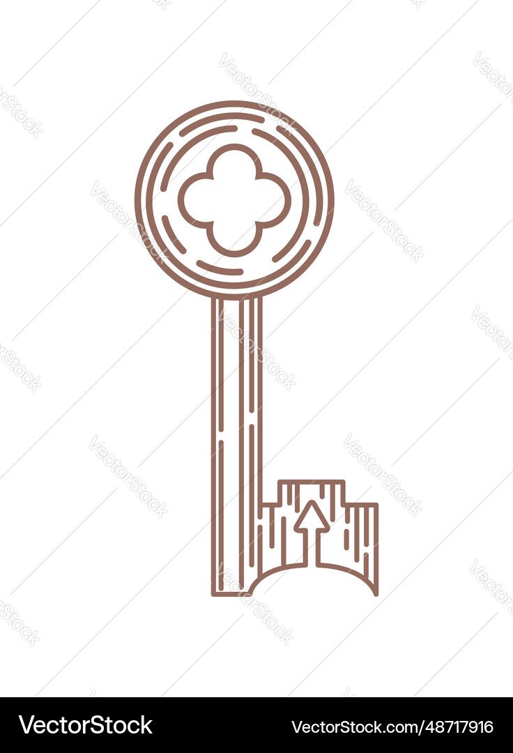 Vintage key in the gothic style magic items Vector Image