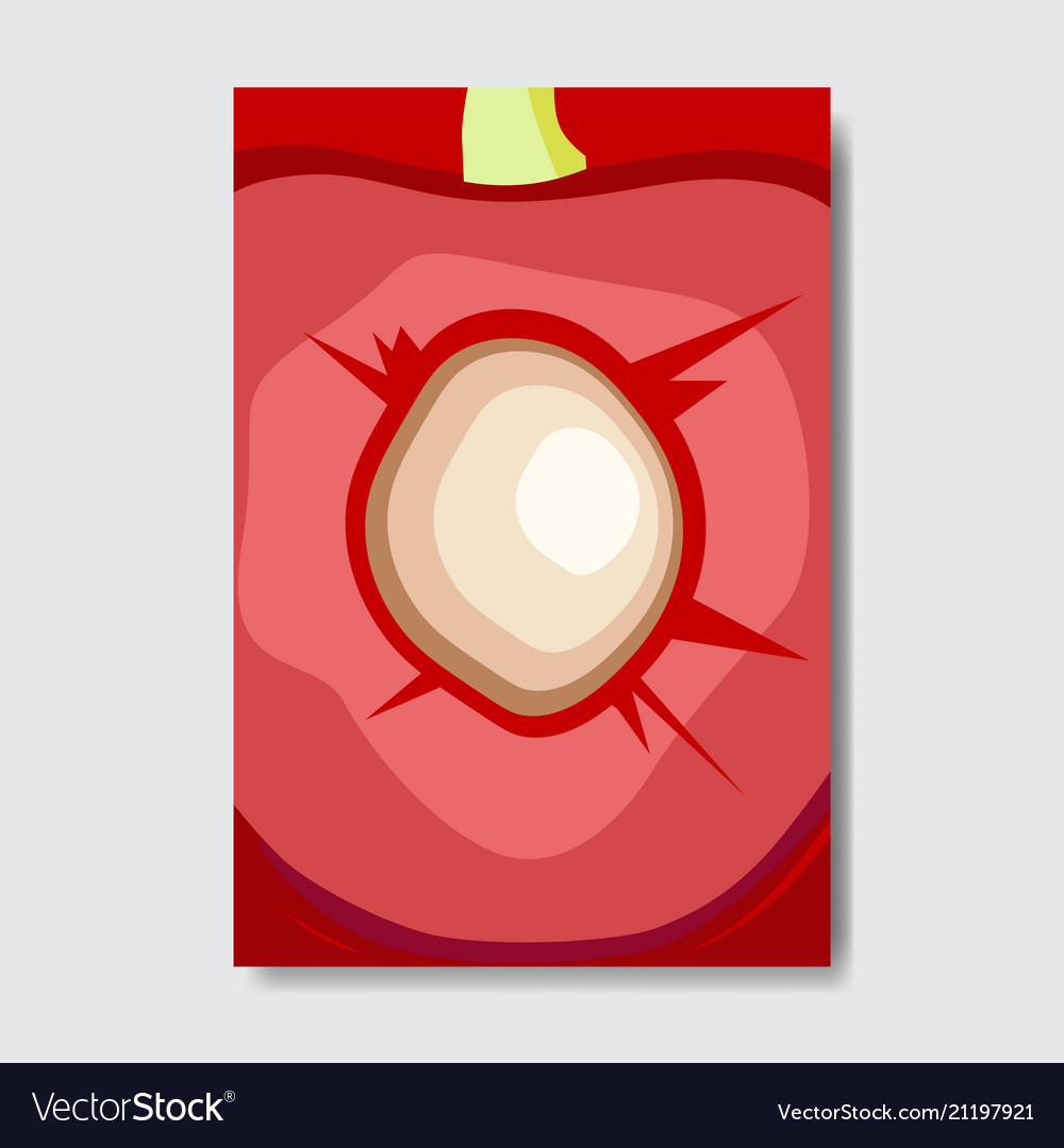 cut cherry template card slice fresh fruit poster vector image