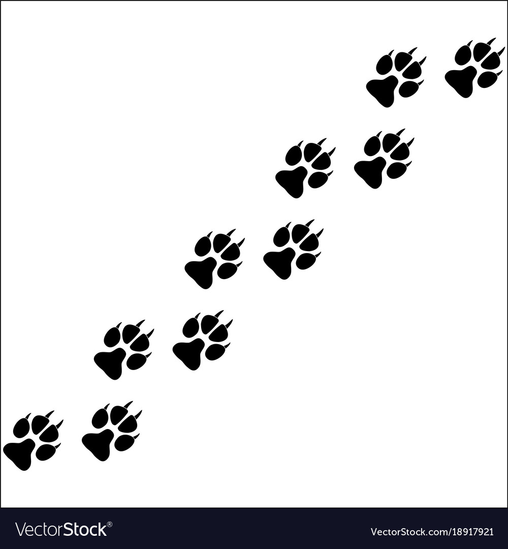 Footprints of paws of an animal Royalty Free Vector Image