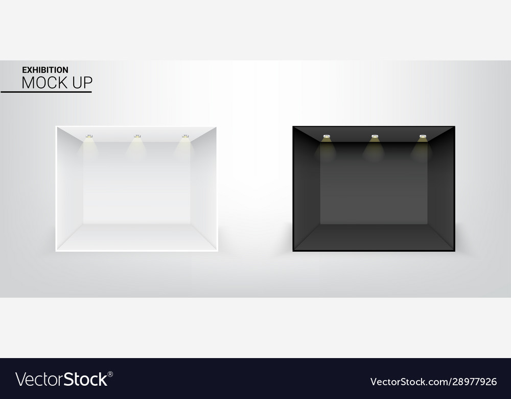 3d mock up realistic black and white empty room