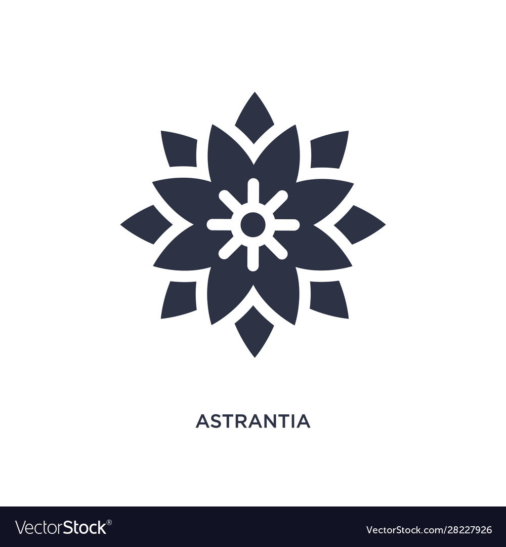 Astrantia icon on white background simple element