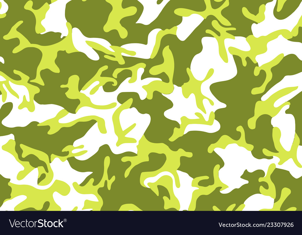 Background pattern of summer army camouflage vector image Background pattern of summer army camouflage