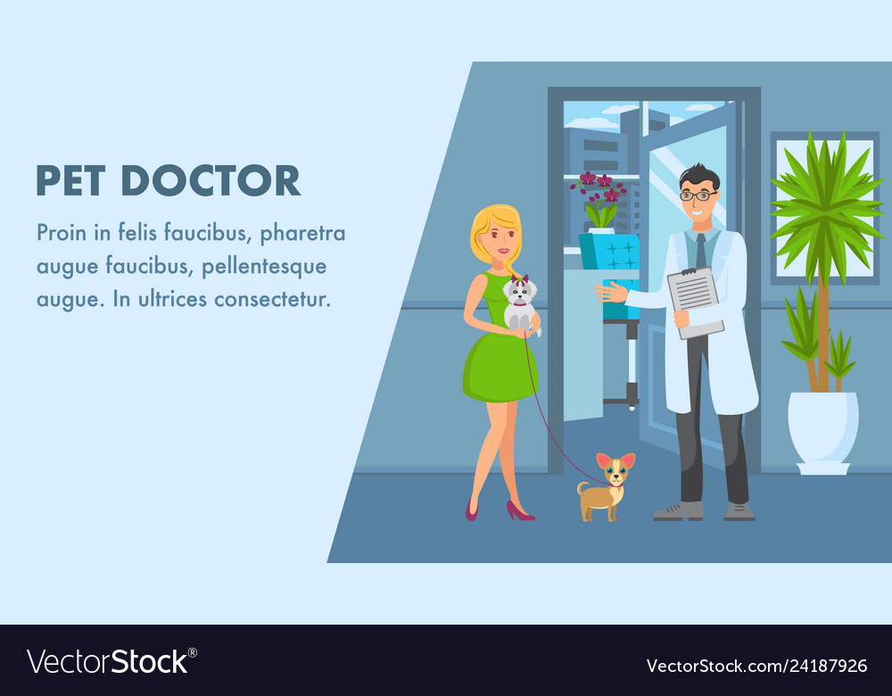 Pet Doctor Appointment Banner Template Royalty Free Vector