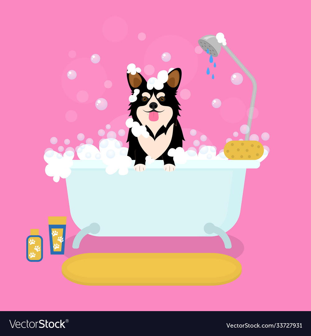 Cartoon color dog in bath grooming services Vector Image