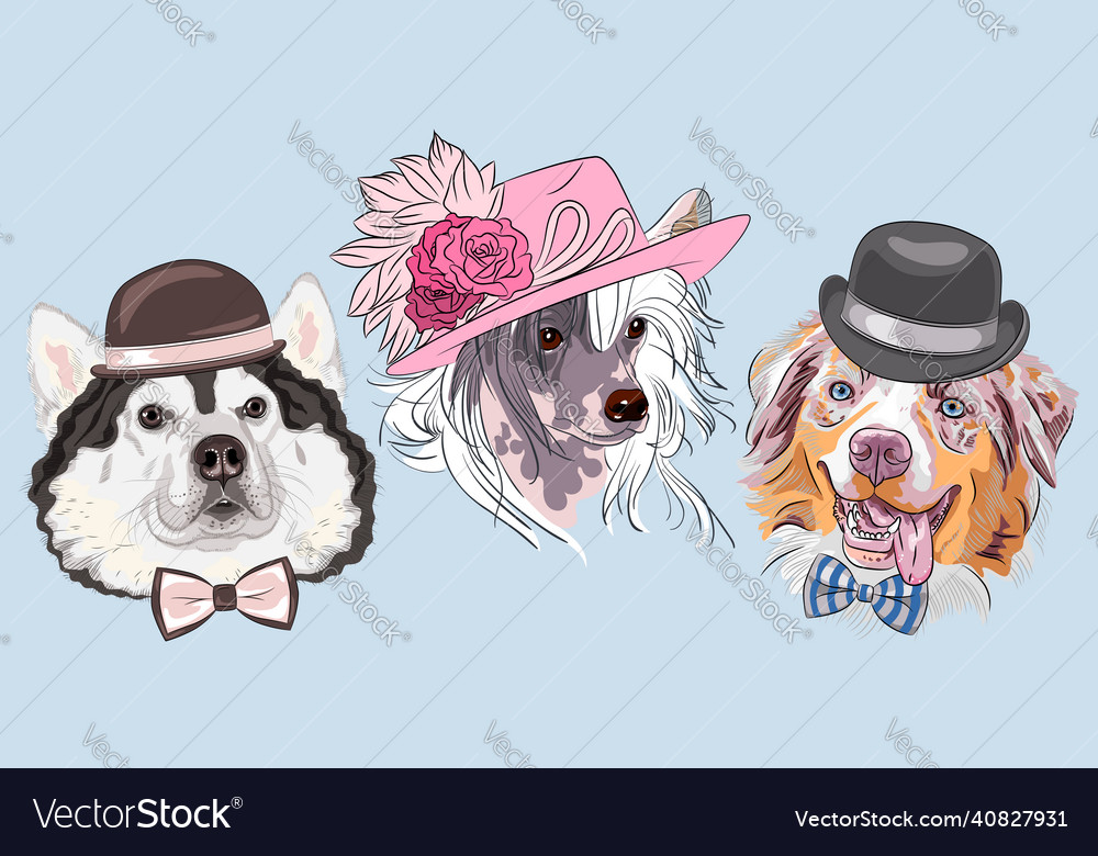 Funny cartoon hipster alaskan malamute dog Vector Image Funny cartoon hipster alaskan malamute dog Vector Image