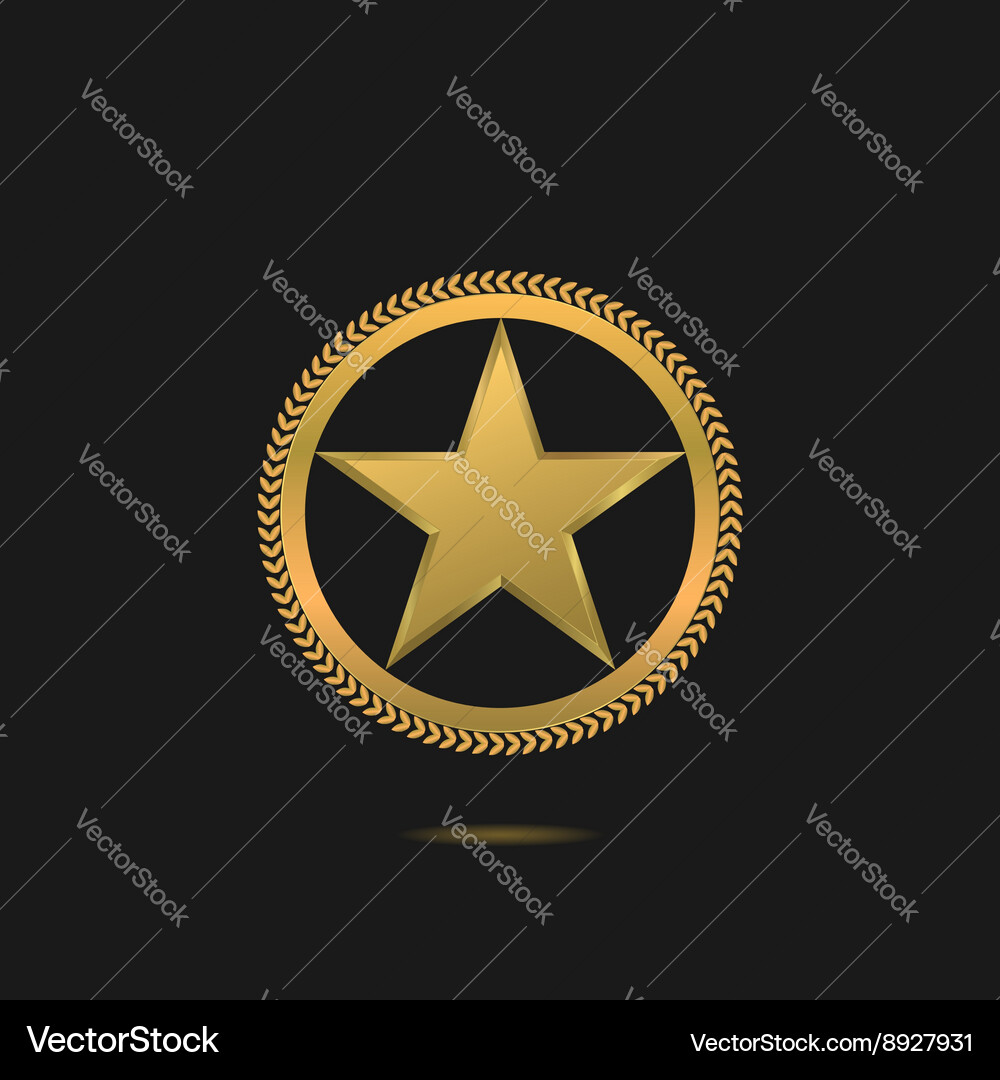 Golden star symbol Royalty Free Vector Image - VectorStock