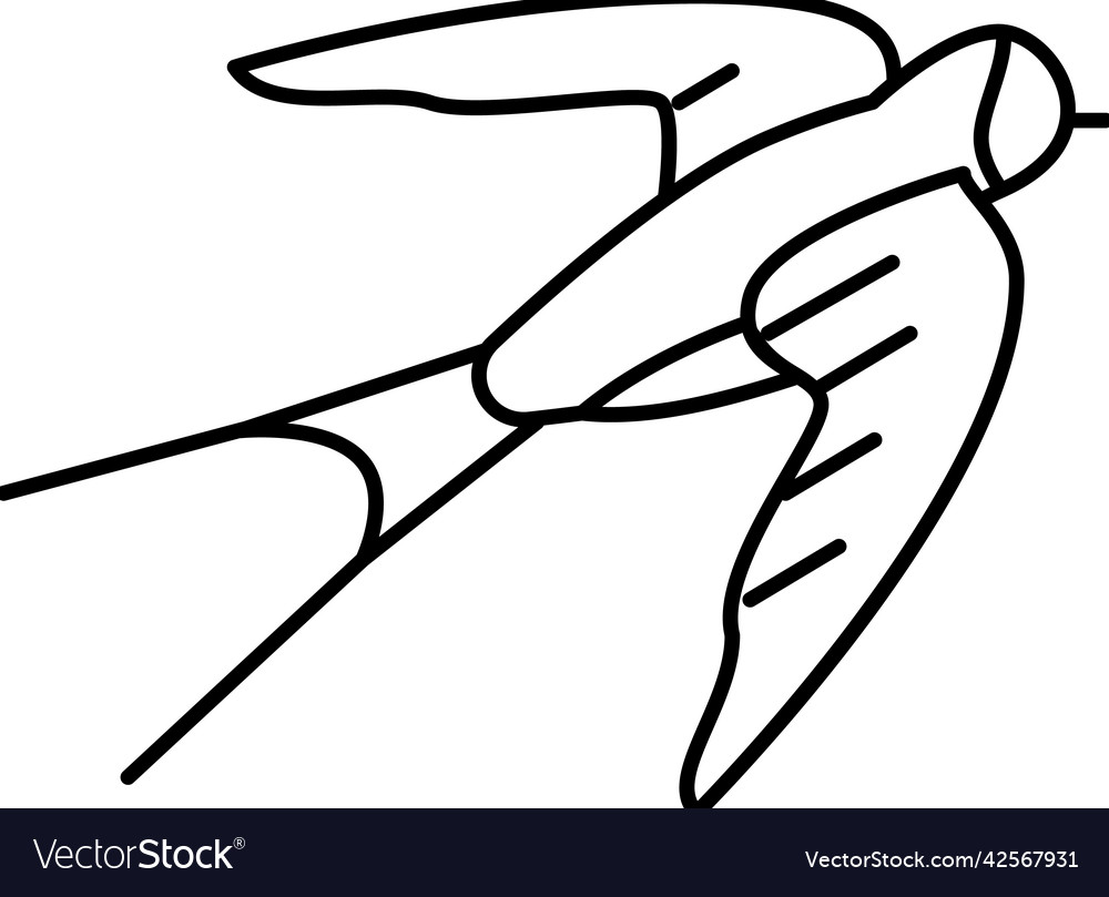 Swallow bird line icon Vector Image Swallow bird line icon