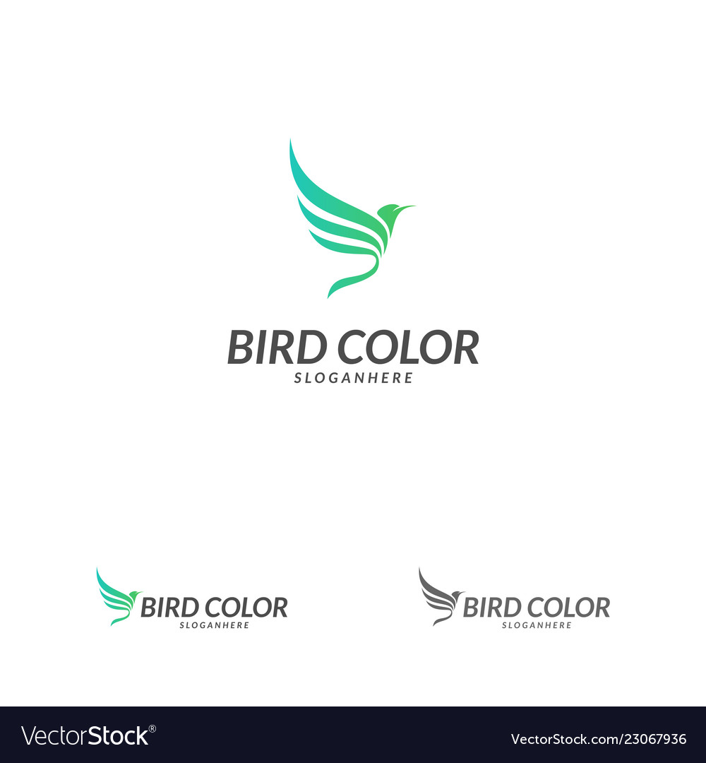 Bird logo flying design template dove