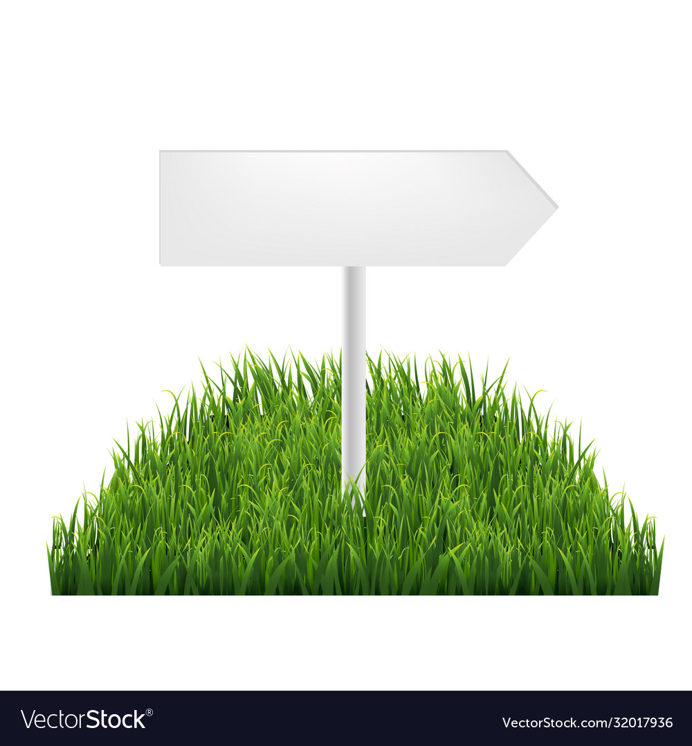 Wooden signs with green grass vector image Wooden signs with green grass