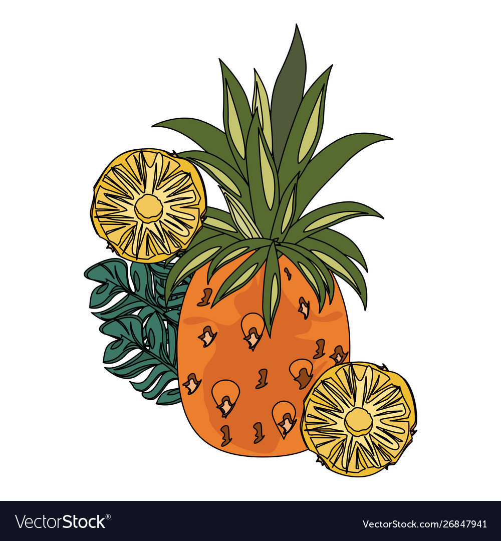 Delicious fresh citrus pineapple cartoon Vector Image