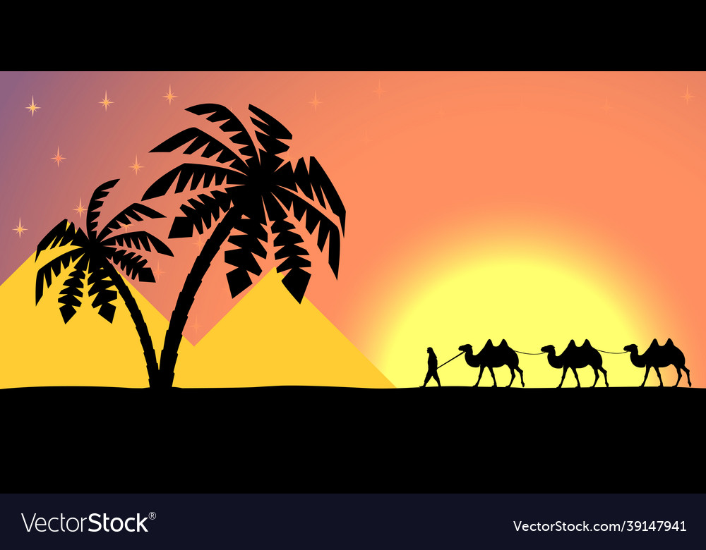 Man on the camel in palm trees at sunset Vector Image Man on the camel in palm trees at sunset