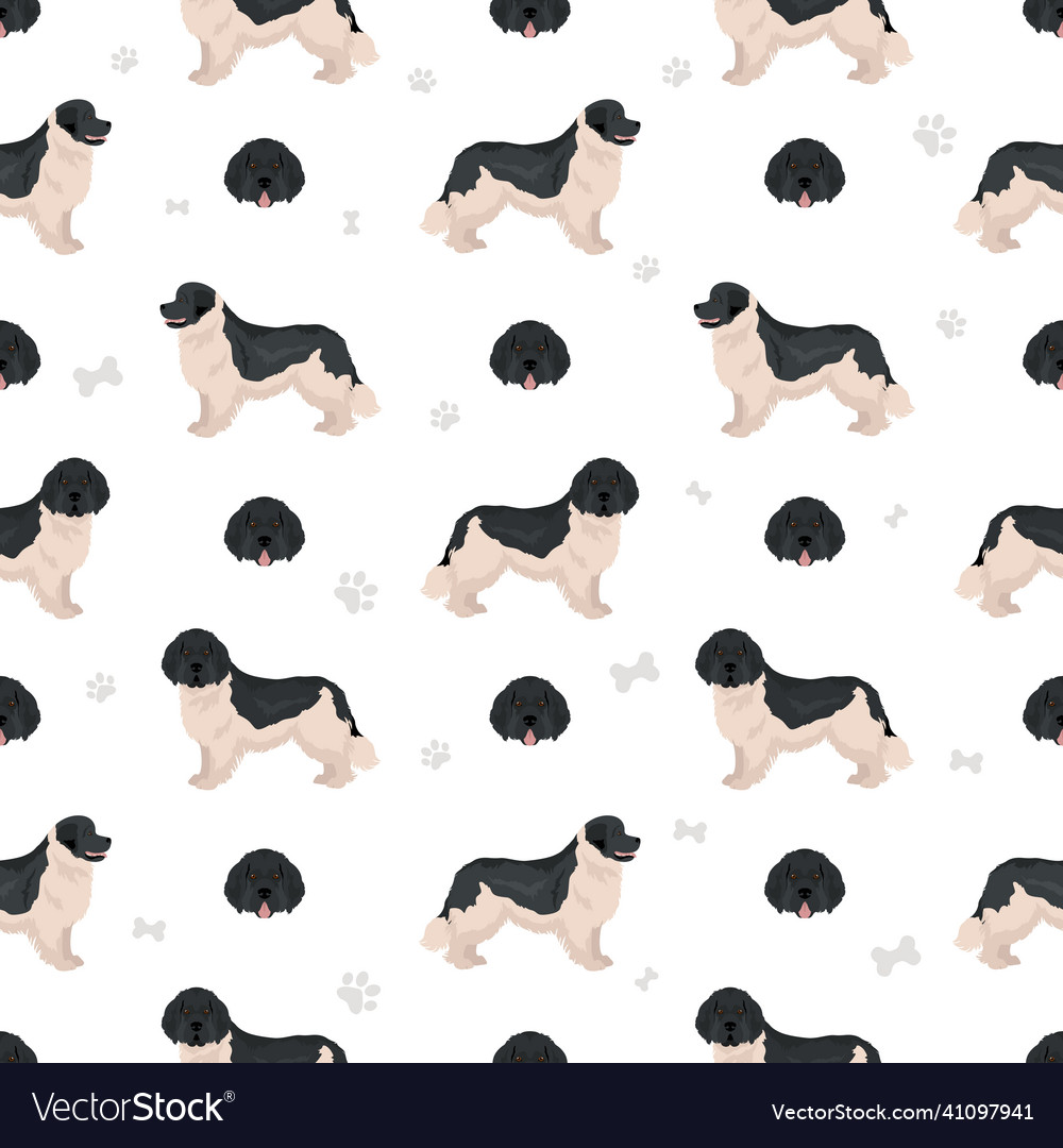 Newfoundland seamless pattern different poses vector image Newfoundland seamless pattern different poses