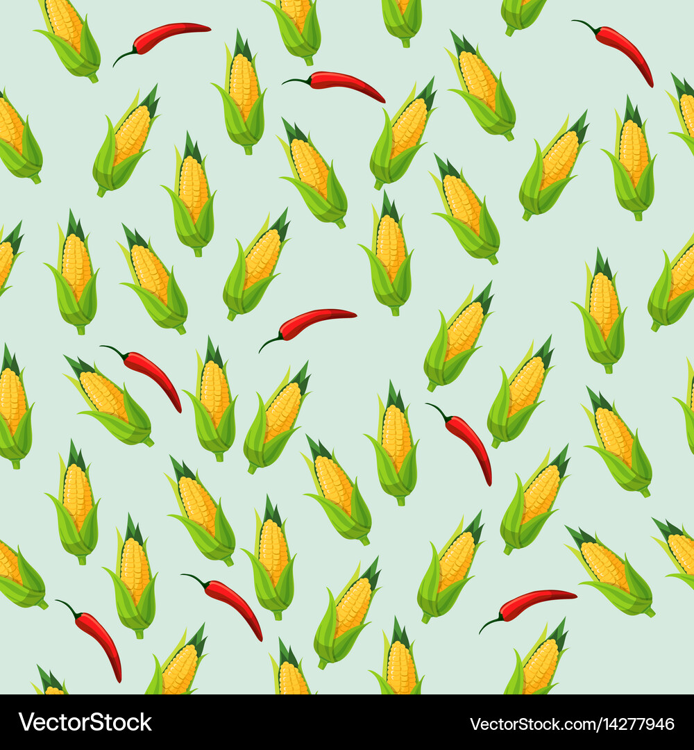 Corn cob Royalty Free Vector Image - VectorStock