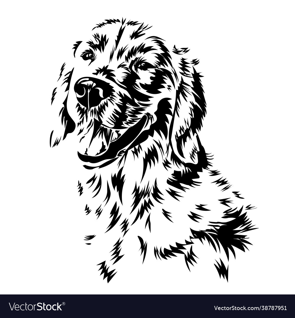 Labrador retriever Royalty Free Vector Image - VectorStock
